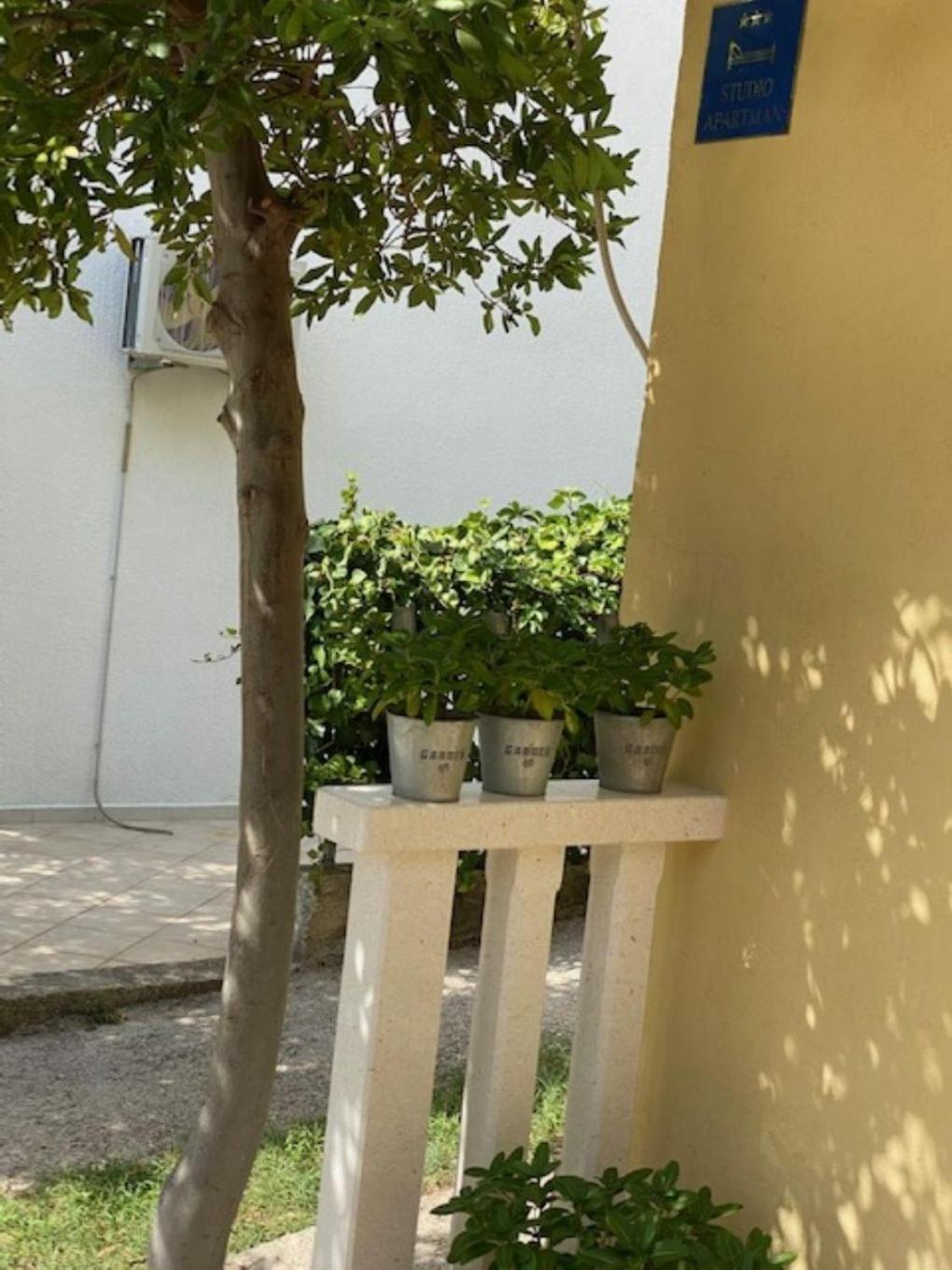 Apartment Toni บาชกาโวดา ภายนอก รูปภาพ